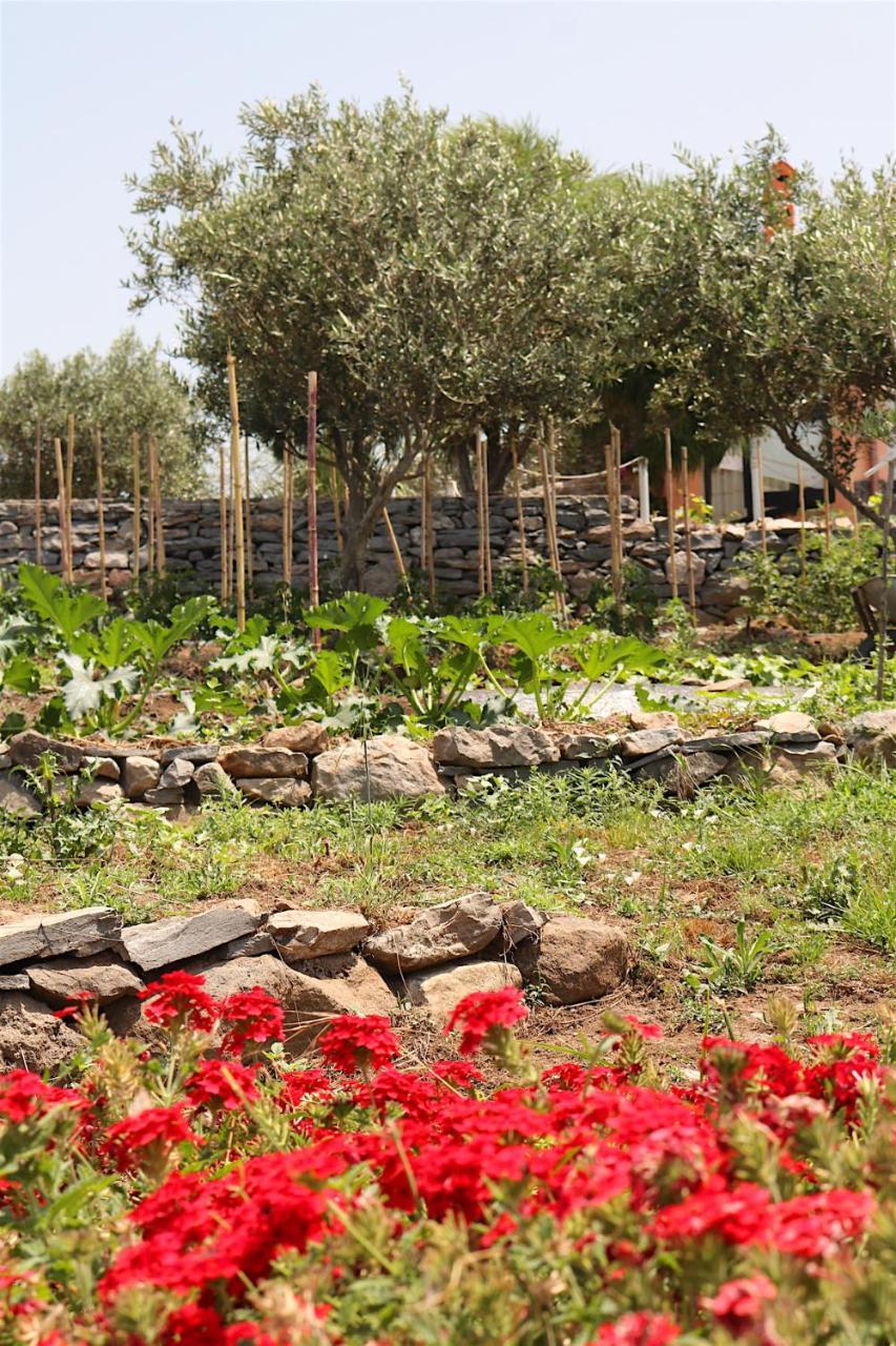 La Rosa Dei Venti Ξενοδοχείο Sennariolo Εξωτερικό φωτογραφία