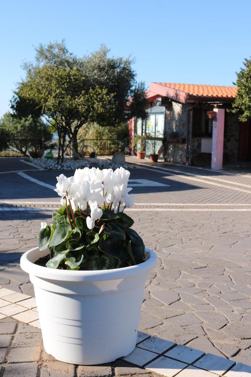 La Rosa Dei Venti Ξενοδοχείο Sennariolo Εξωτερικό φωτογραφία