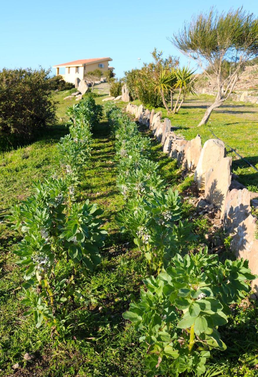 La Rosa Dei Venti Ξενοδοχείο Sennariolo Εξωτερικό φωτογραφία